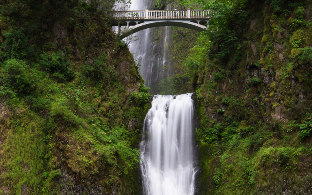 PaintCare Collects Nearly 650,000 Gallons of Paint in Oregon in 2023